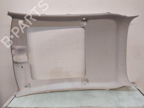 Used Interior roof CITROËN C3 III (SX) 1.2 THP 110 (SXHNPS, SXHNZT, SXHNZ6) (110 hp) 29075807