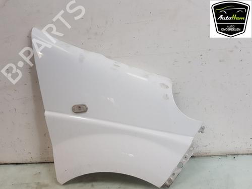 Right front fenders NISSAN PRIMASTAR Van (X83) 2.5 dCi 150 | BP16256417C42 