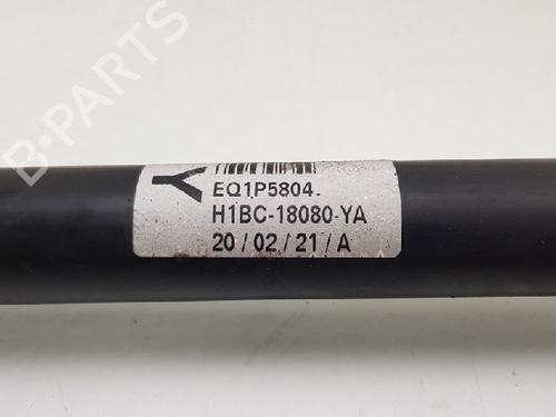 Left rear shock absorber FORD FIESTA VII (HJ, HF) 1.0 EcoBoost | BP12024349M18 