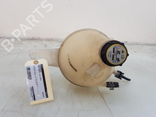 Used Expansion tank FORD TRANSIT CUSTOM V362 Van (FY, FZ) 2.2 TDCi (100 hp) 29910090