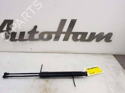 Used Tailgate lift support BMW 1 (F20) 118 d (150 hp) 13142825