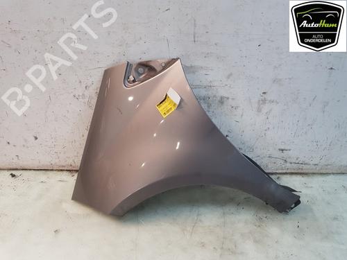 Left front fenders MERCEDES-BENZ A-CLASS (W169) A 170 (169.032, 169.332) | BP18131911C41 