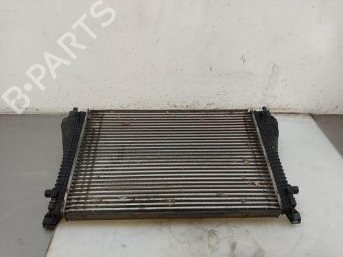 Intercooler Intercooler VW GOLF VIII (CD1, DA1) 2.0 TSI R 4motion (320 hp) 34540573 34540573