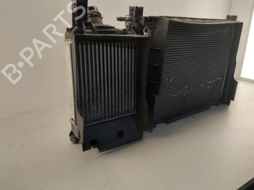 Radiator set DACIA DUSTER (HM_) 1.3 TCe 130 (HMMF) | BP37070417M120 - Image 8