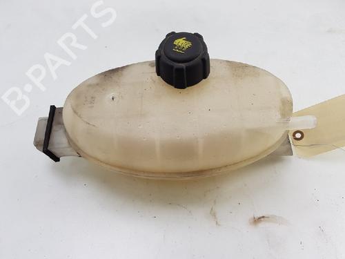 Expansion tank OPEL VIVARO A Van (X83) 2.0 CDTI (F7) | BP12013822C120 