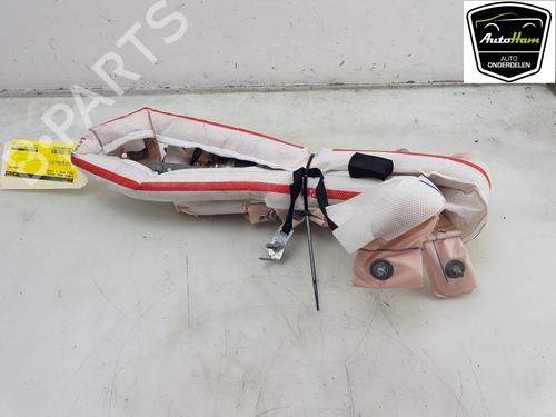 Right curtain airbag TESLA MODEL S (5YJS) P100D AWD | BP19497291C12