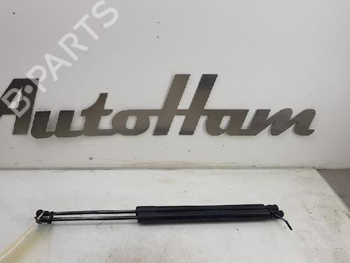 Used Tailgate lift support VW GOLF VII (5G1, BQ1, BE1, BE2) 1.6 TDI (110 hp) 13142841