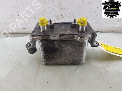 Oil radiator MERCEDES-BENZ AMG GT (C190) GT R (190.379) | BP20643804M33 