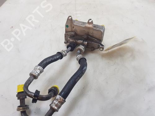 Oil radiator MERCEDES-BENZ VITO Van (W447) 116 CDI (447.601, 447.603, 447.605) | BP27201971M33 