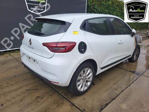 Tailgate RENAULT CLIO IV (BH_) 0.9 TCe 90 (BHNF, BHMA, BHMH, BHJK, BHJR) | BP17793234C6 
