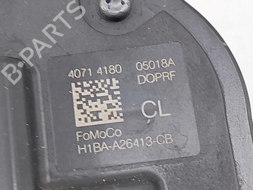 Rear left lock FORD FIESTA VII (HJ, HF) 1.0 EcoBoost | BP29075603C100 