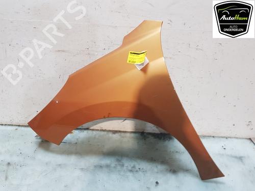 Used Left front fenders PEUGEOT 207 (WA_, WC_) 1.6 16V VTi (120 hp) 22237091
