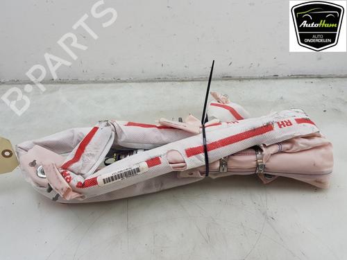 Right curtain airbag TESLA MODEL S (5YJS) P100D AWD | BP19497291C12