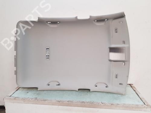 Tetto interno VW POLO V (6R1, 6C1) 1.2 TDI (75 hp) 29240472