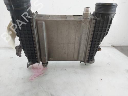 Intercooler MERCEDES-BENZ A-CLASS (W177) AMG A 45 S 4-Matic+ (177.054) | BP29141202M30 