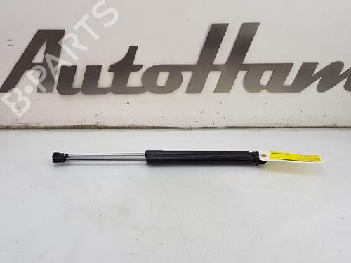 Used Tailgate lift support RENAULT CLIO III (BR0/1, CR0/1) 1.2 16V (BR0P, CR0P) (101 hp) 13143216