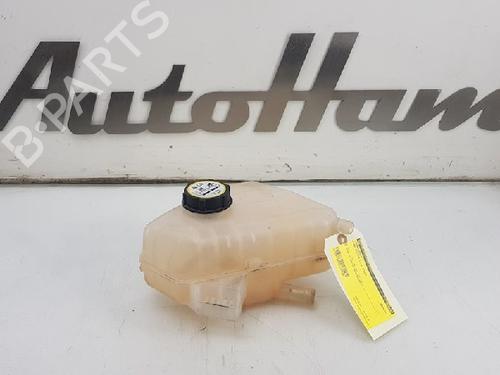 Ekspansjonstank FORD FIESTA VI (CB1, CCN) 1.25 (82 hp) 12013383