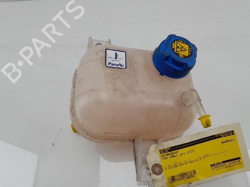 Expansion tank FIAT DOBLO Cargo (263_) 1.3 D Multijet (263ZXT1A, 263WXT1A, 263ZYA1A, 263WYA1A) | BP12035044C120