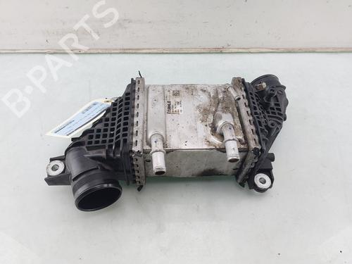 Intercooler VW TRANSPORTER T6 Van (SGA, SGH, SHA, SHH) 2.0 TDI | BP29910544M30