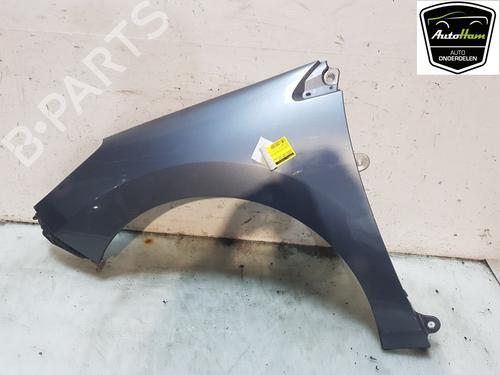Left front fenders PEUGEOT 308 I (4A_, 4C_) 1.6 16V | BP21597996C41 