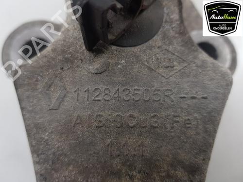 Used Engine mount RENAULT CLIO IV (BH_) 1.2 16V (73 hp) 12045027