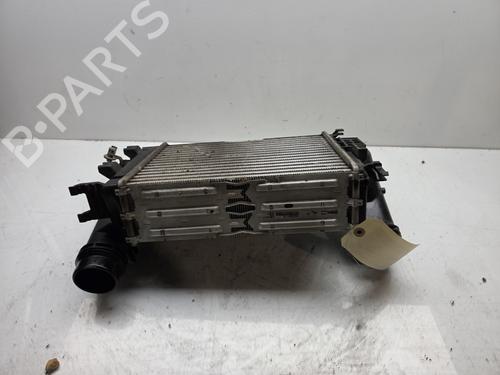 Intercooler RENAULT TALISMAN (LP_) 1.6 TCe 200 | BP28126344M30