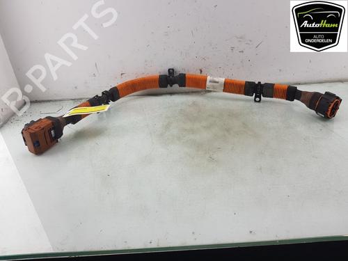 Ledningsnet RENAULT ZOE (BFM_) ZOE (88 hp) 19521180