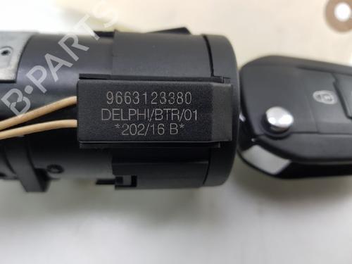 Ignition barrel PEUGEOT 308 SW II (LC_, LJ_, LR_, LX_, L4_) 1.2 THP 110 | BP12034273M48 