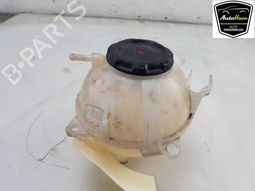Expansion tank VW CADDY IV Box Body/MPV (SAA, SAH) 2.0 TDI | BP16589693C120 