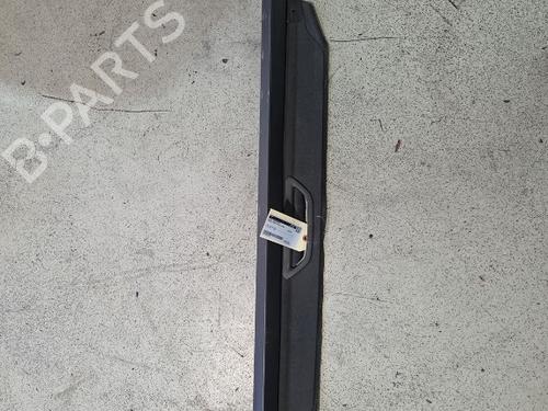 Hattehylle RENAULT GRAND SCÉNIC III (JZ0/1_) 1.4 16V (JZ0F) (131 hp) 29996668