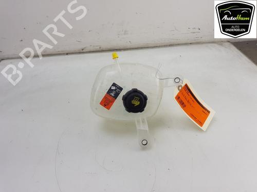 Ekspansjonstank Ekspansjonstank NISSAN QASHQAI III (J12) 1.3 DIG-T (140 hp) 12042485 12042485