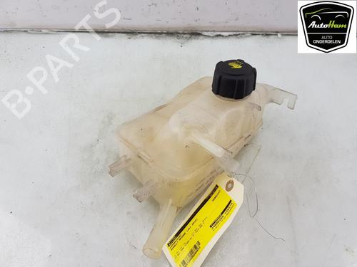 Expansion tank RENAULT MEGANE III Coupe (DZ0/1_) 2.0 TCe (DZ1N) | BP19771690C120 