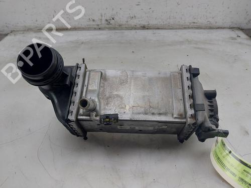 Used Intercooler SKODA SCALA (NW1) 1.0 TSI (116 hp) 31610203