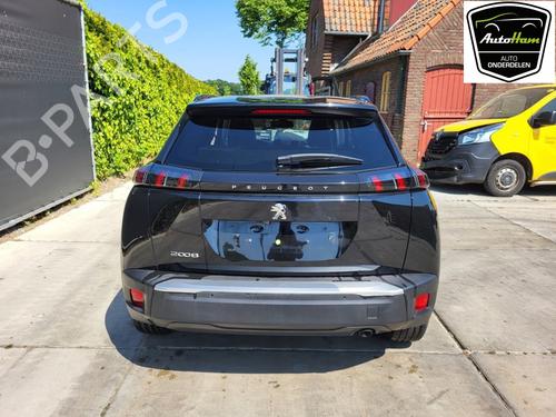 Tailgate PEUGEOT 2008 II (UD_, US_, UY_, UJ_, UR_, UC_) 1.2 PureTech 100 (USHNK) | BP17793140C6 