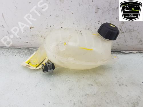 Used Expansion tank RENAULT EXPRESS Box Body/MPV 1.5 Blue dCi 95 (F6AB) (95 hp) 20292675