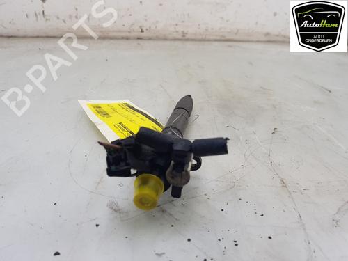 Injector LAND ROVER RANGE ROVER SPORT II (L494) 3.0 SDV6 4x4 | BP17977373M100 