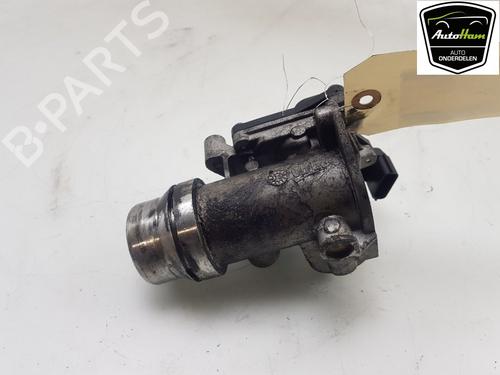 Used Throttle body RENAULT KANGOO Express (FW0/1_) 1.5 dCi 75 (FW07, FW10, FW04) (75 hp) 21597992