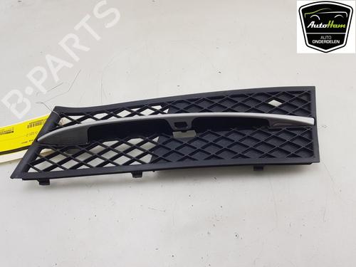 Used Grille BMW 5 (F10) 520 i (184 hp) 16677996