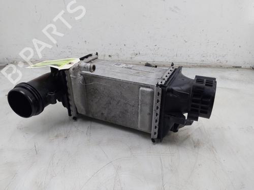 Intercooler VW GOLF VIII (CD1, DA1) 1.5 eTSI | BP30610774M30 
