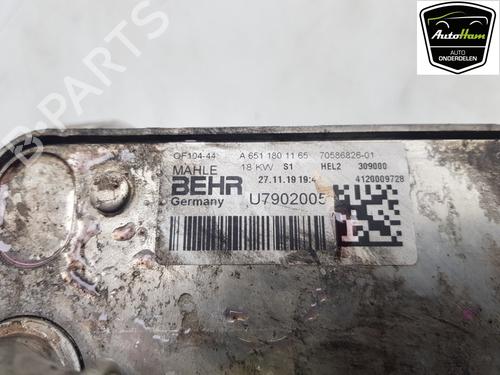 Oil radiator MERCEDES-BENZ SPRINTER 3,5-t Van (B906) 314 CDI (906.631, 906.633, 906.635, 906.637) | BP23190490M33 
