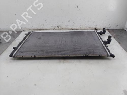 Radiateur à eau RENAULT KANGOO III Box Body/MPV 1.5 Blue dCi 115 (FJAC) (116 hp) 31923000