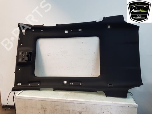 Interiør taket Interiør taket FORD FOCUS IV Turnier (HP) 1.0 EcoBoost (125 hp) 19693244 19693244