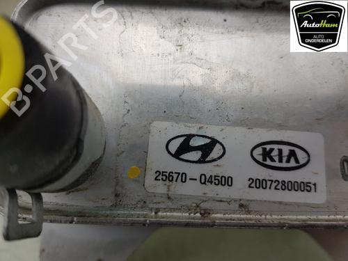 Oliekøler KIA NIRO I (DE) E-NIRO | BP22433797M33 