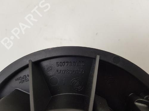 Heater blower motor FIAT FIORINO Box Body/MPV (225_) 1.3 D Multijet (225BXD1A, 225BXB1A, 225BXB11) | BP12029421M62 