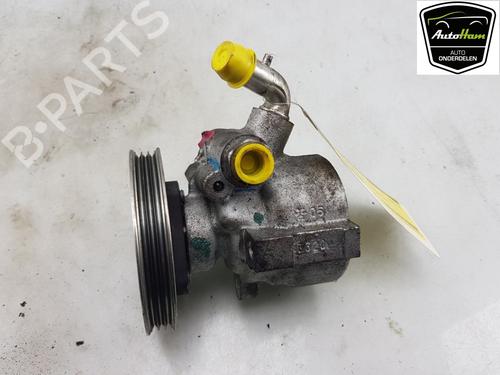 Steering pump FIAT DOBLO Cargo (263_) 1.4 | BP18869241M99 