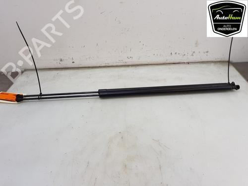 Used Tailgate lift support RENAULT KANGOO / GRAND KANGOO II (KW0/1_) 1.2 TCe 115 (KW02, KW14) (115 hp) 13107988
