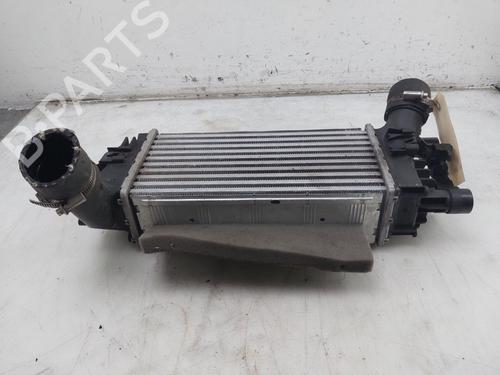 Ladeluftkühler FORD PUMA (J2K, CF7) 1.0 EcoBoost mHEV | BP30466286M30