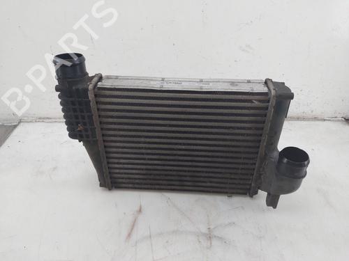 Intercooler OPEL VIVARO C Van (K0) 2.0 | BP29910521M30 