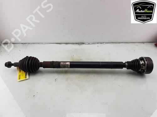 Used Right front driveshaft SKODA OCTAVIA II (1Z3) 1.6 (102 hp) 18645381