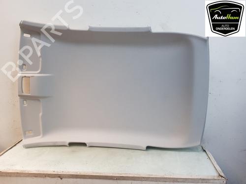 Techo interior Techo interior SEAT IBIZA V (KJ1, KJG) 1.0 (75 hp) 17646343 17646343